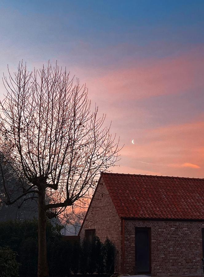 Bloemendale Guesthouse Bruges Exterior photo
